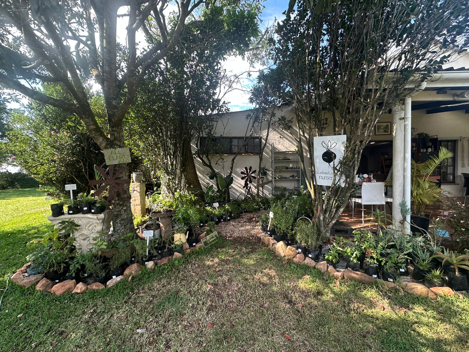 Rose & Bean outdoor seating